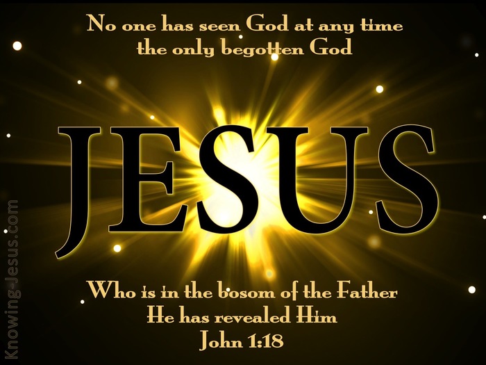 What Does John 1 18 Mean 